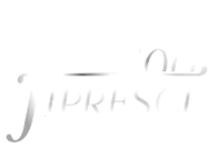Colaboração FIPRESCI