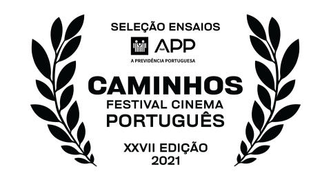 Seleção Ensaios,Caminhos do Cinema Português.,académico